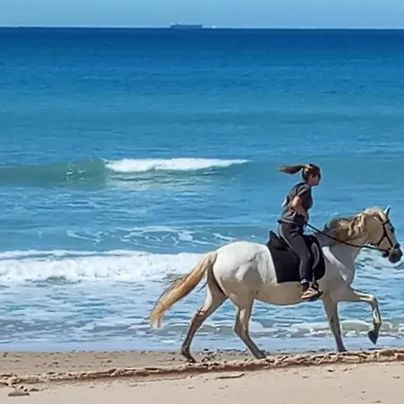 La Aldea شقة *